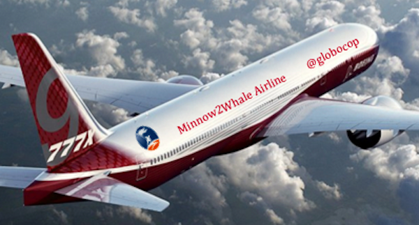 Minnow2WhaleAirline.png
